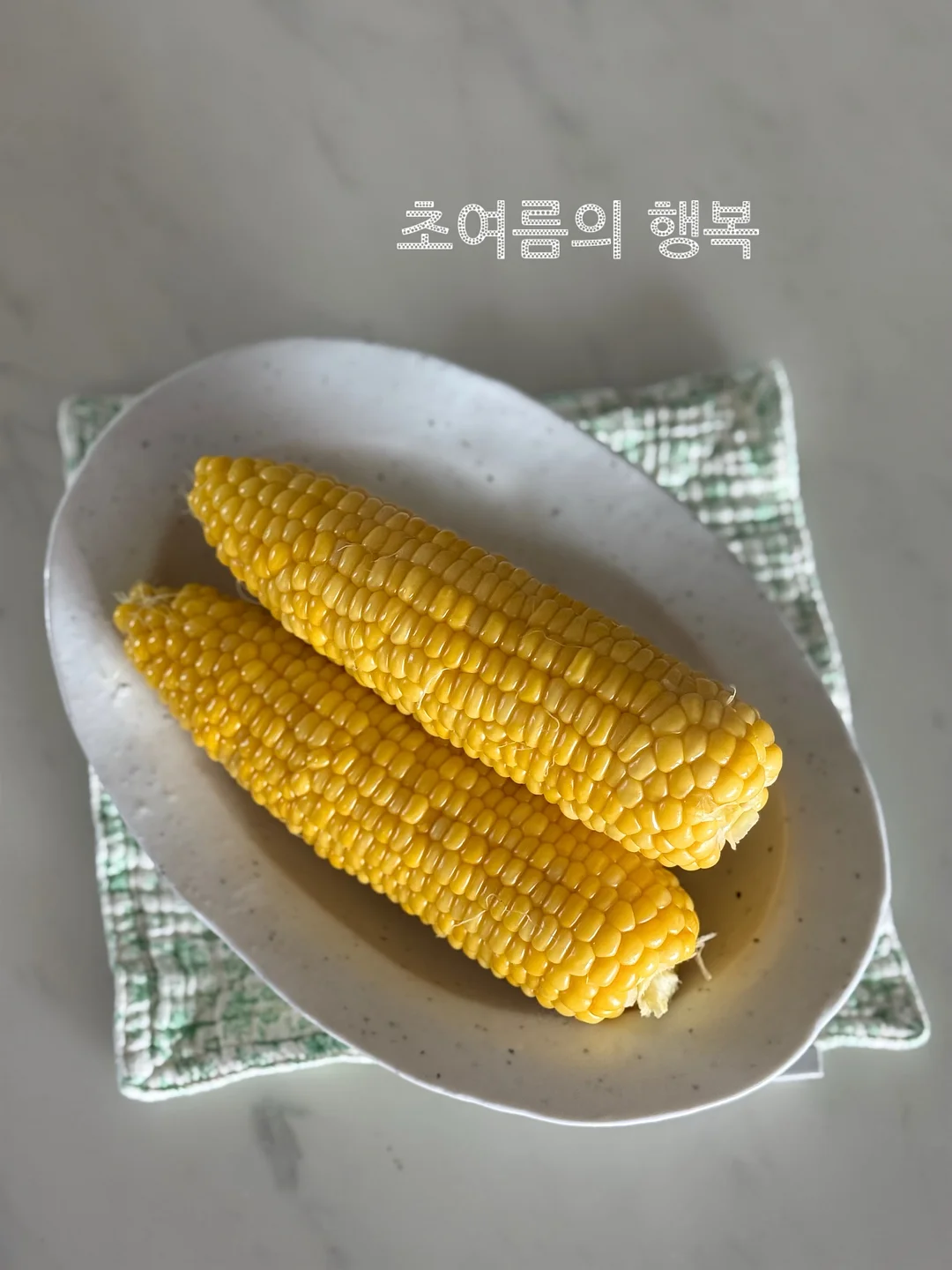 와와 반바지 1