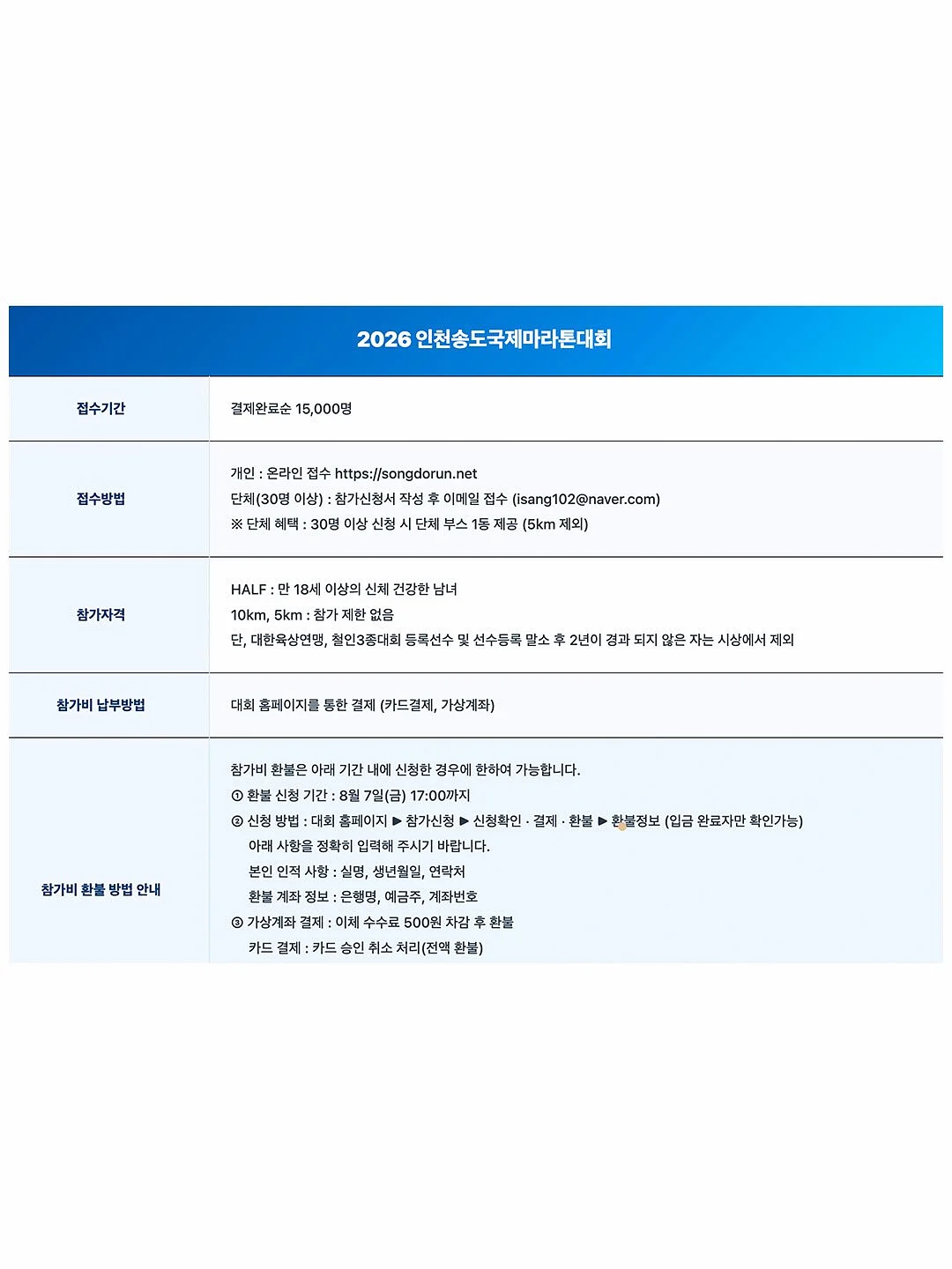 와플 버튼 카라 펀칭 니트 set 4