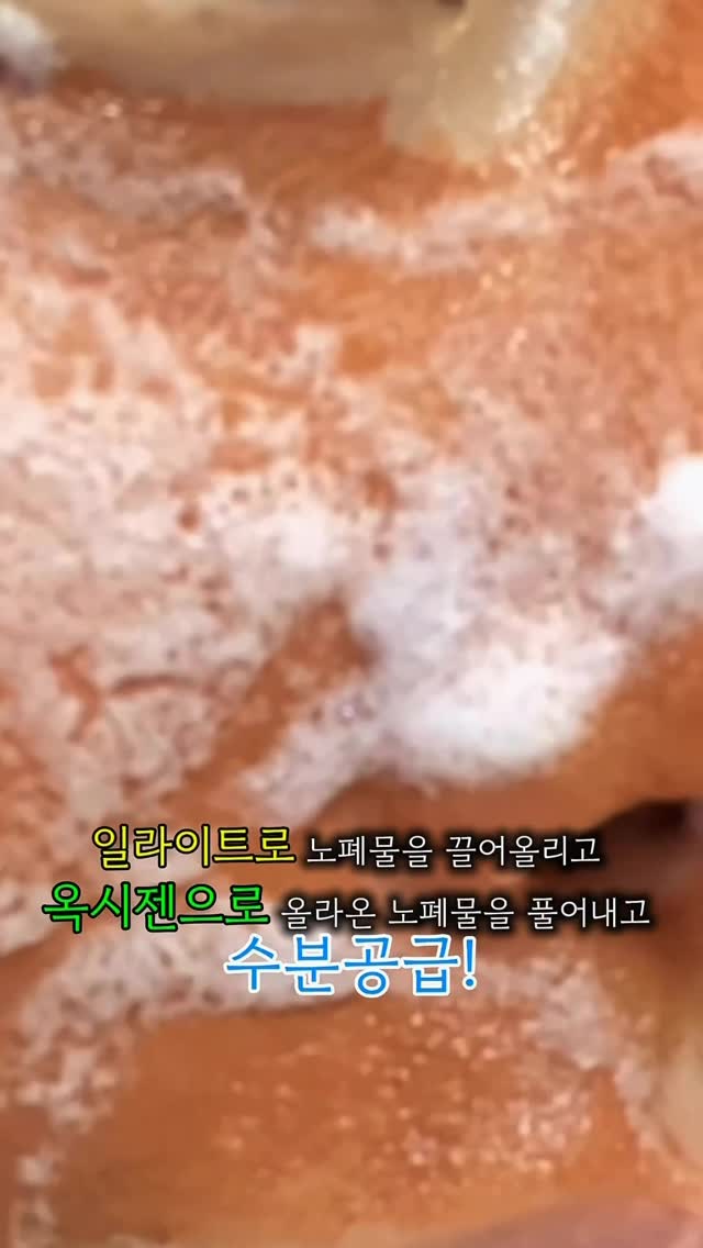 베이직 머그