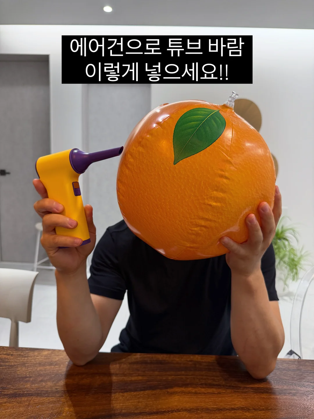 파리둥절 초파리 트랩 1