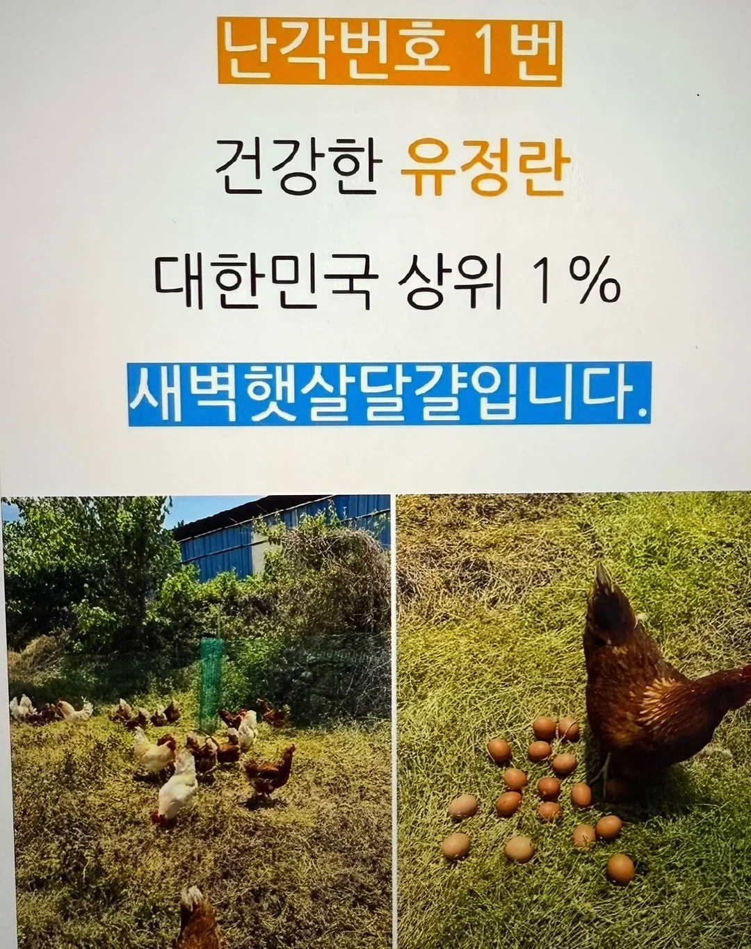 리네랄 6