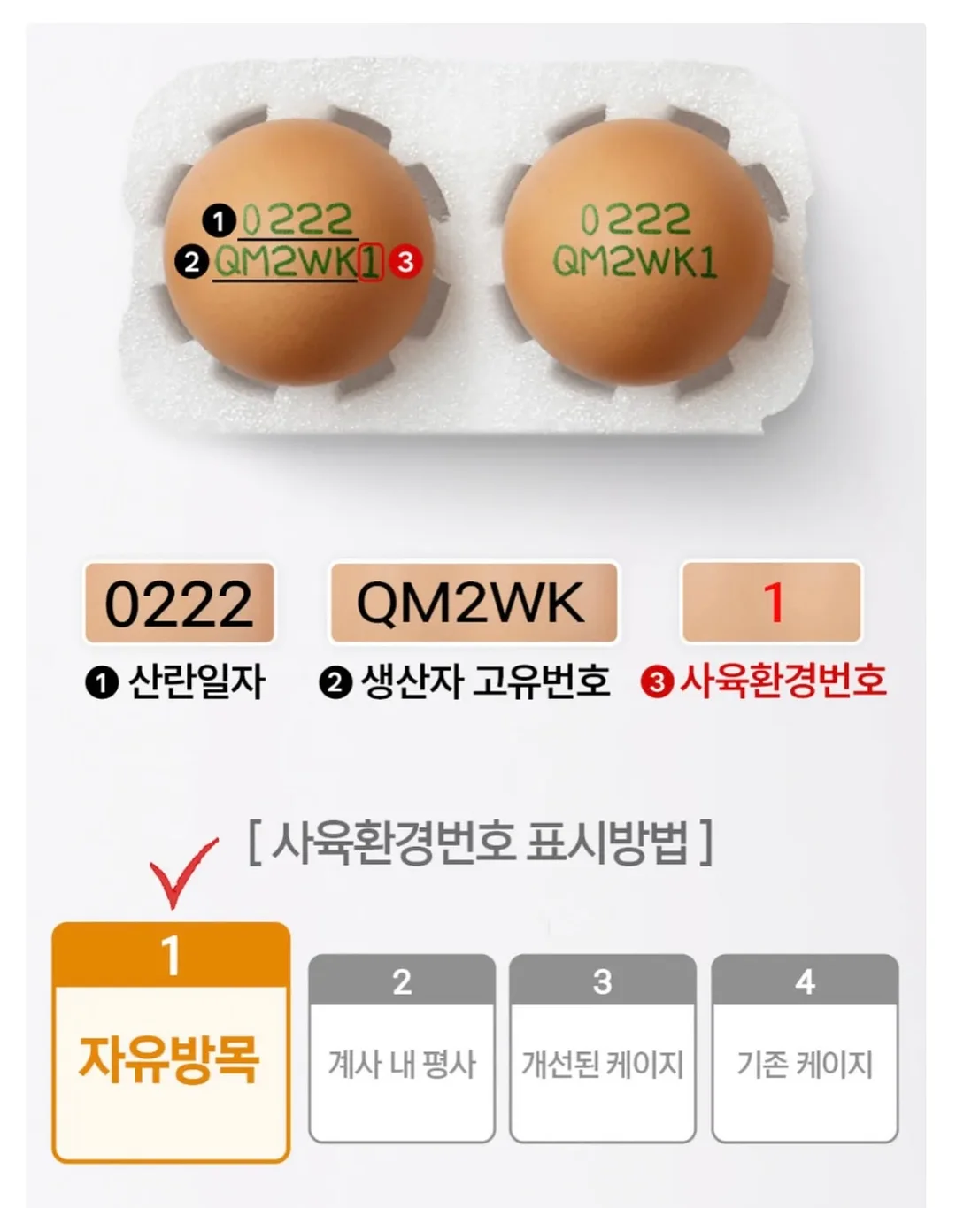 리네랄 10