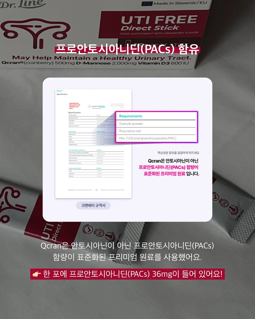 서커스 풍선 5