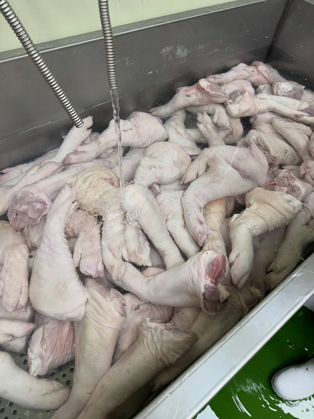 안티놀 아나포유이뮨프로 3