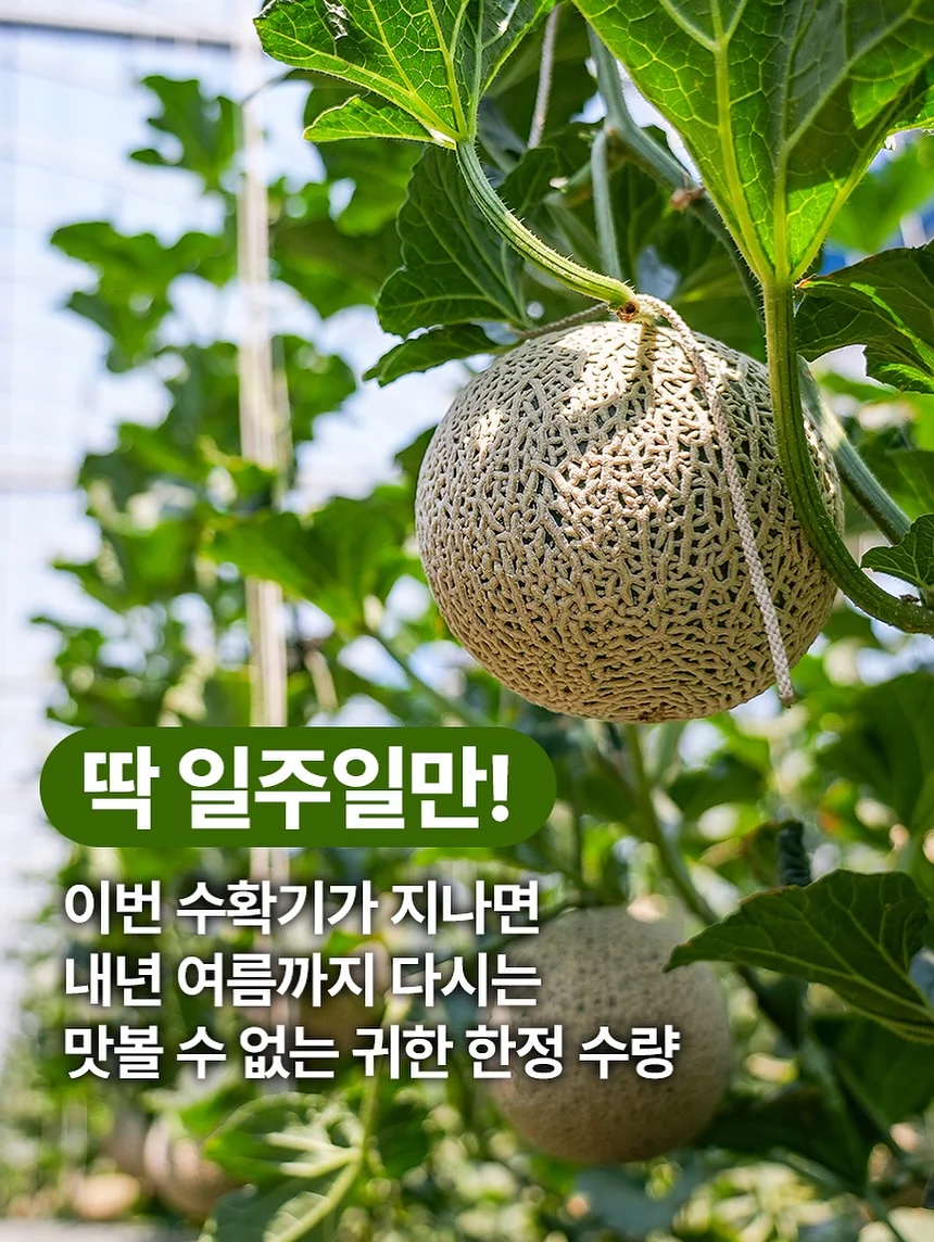 이케아 수납 벤치 4