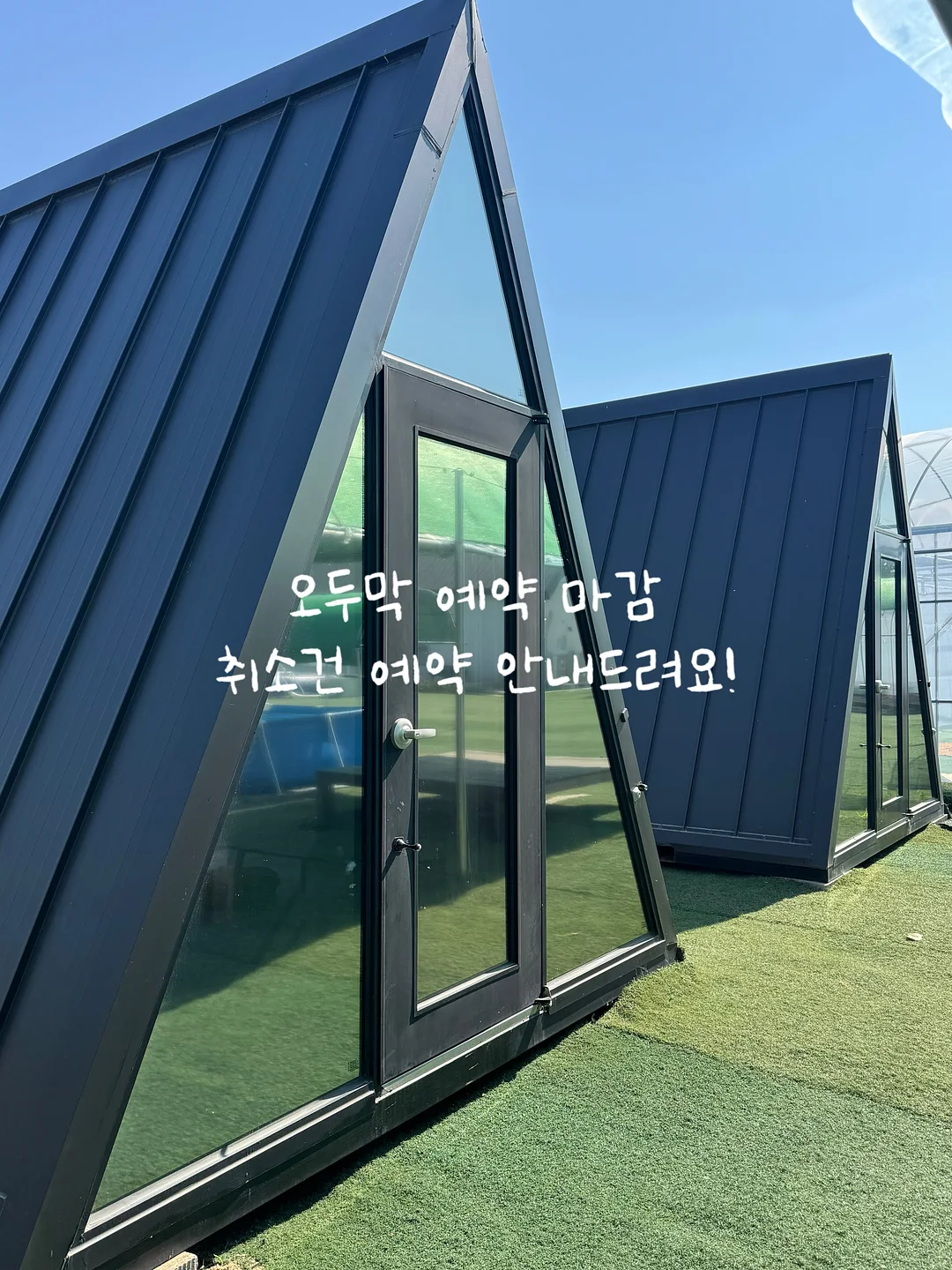 노란 게코 도마뱀 이모티콘 1