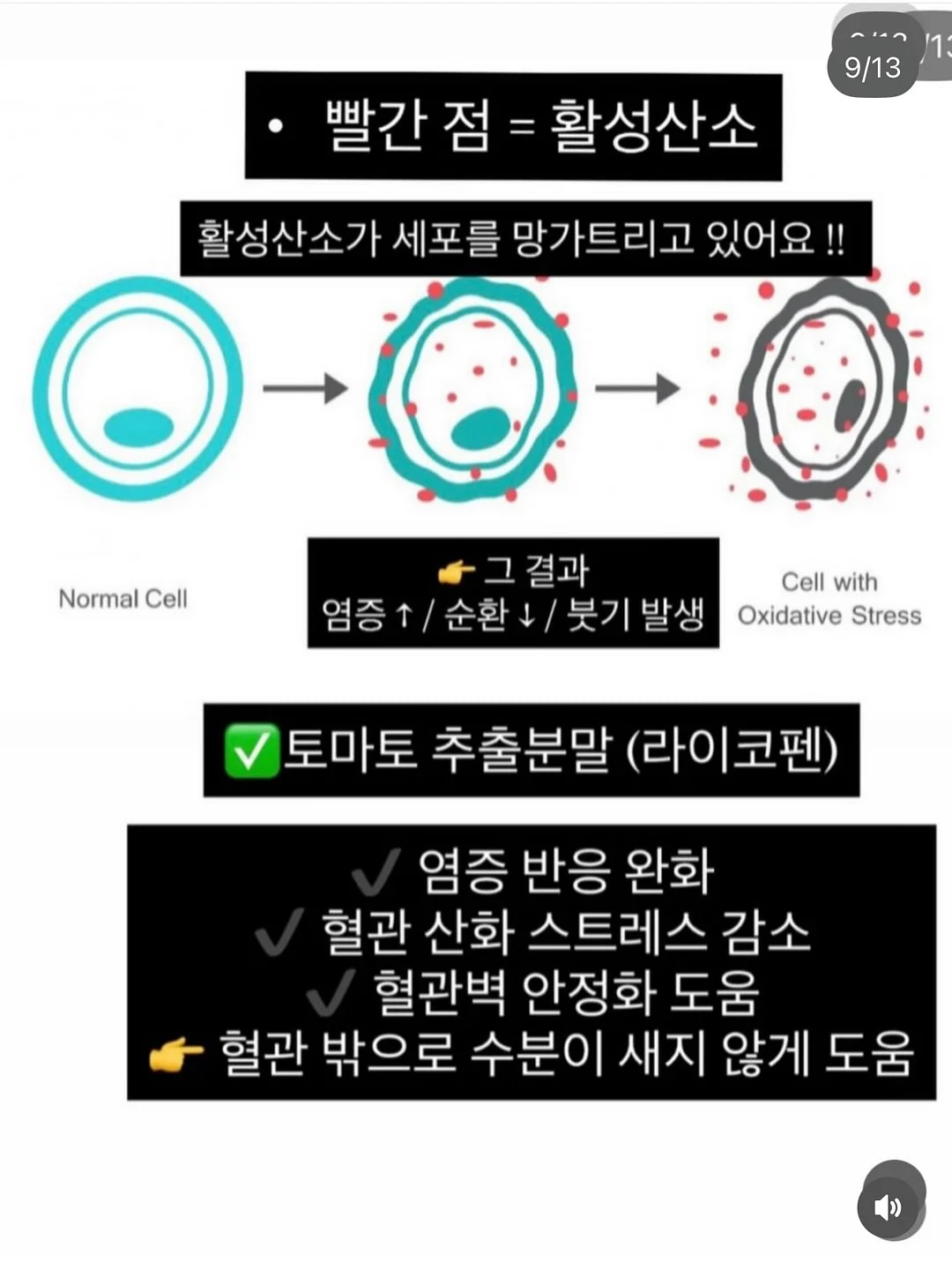 프라다 갤러리아 미니백 9