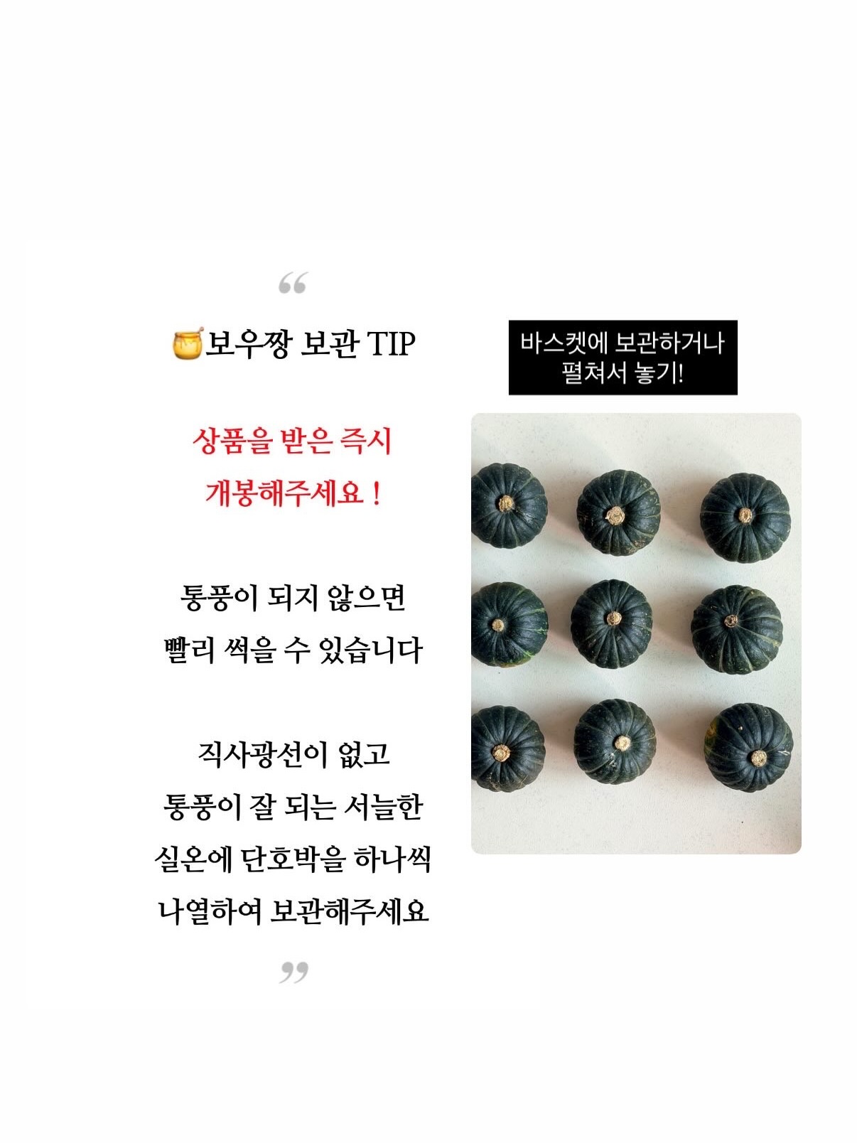 쿠키몬 컨셉 아기 촬영 배경천 5