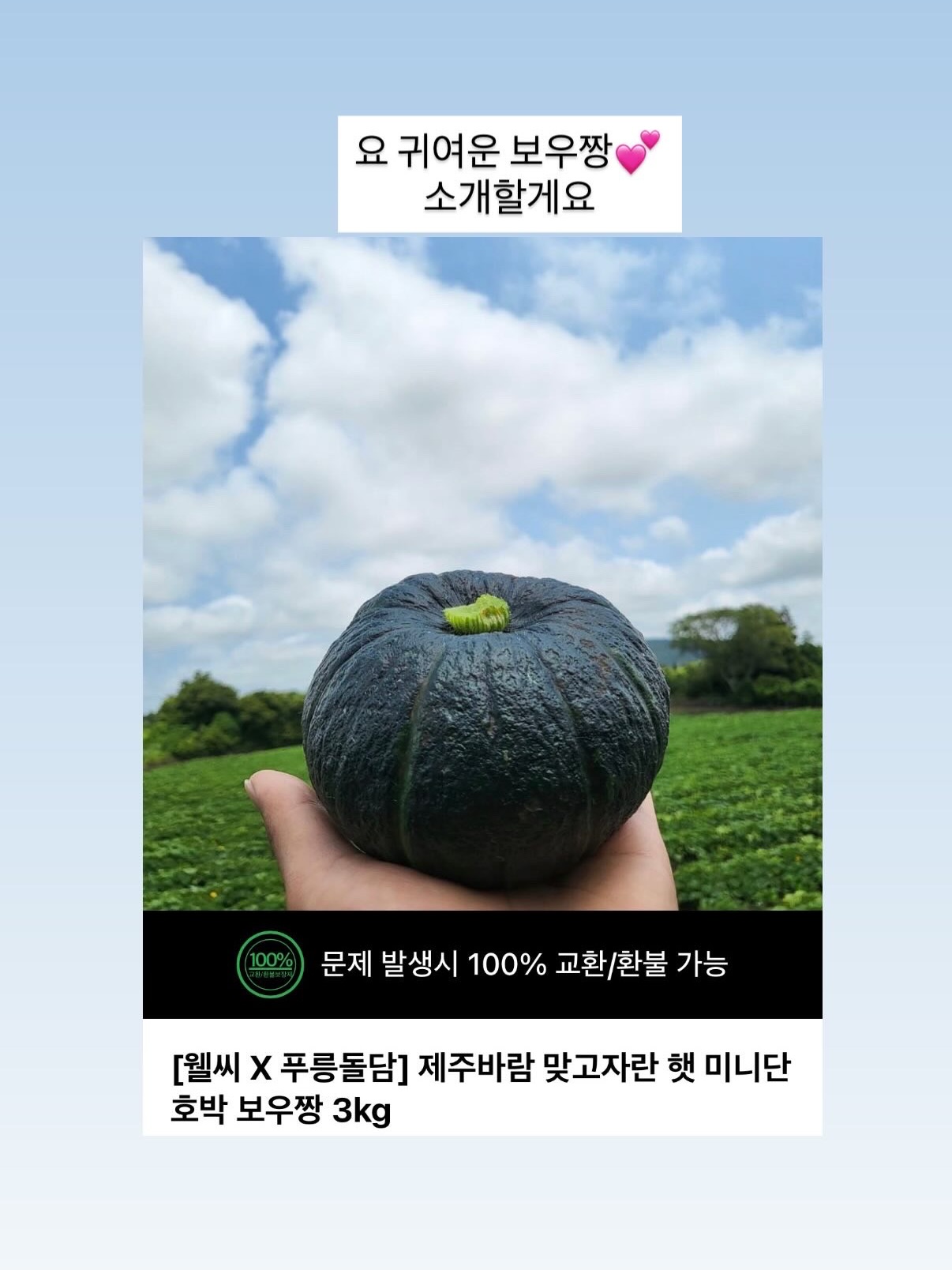쿠키몬 컨셉 아기 촬영 배경천 10
