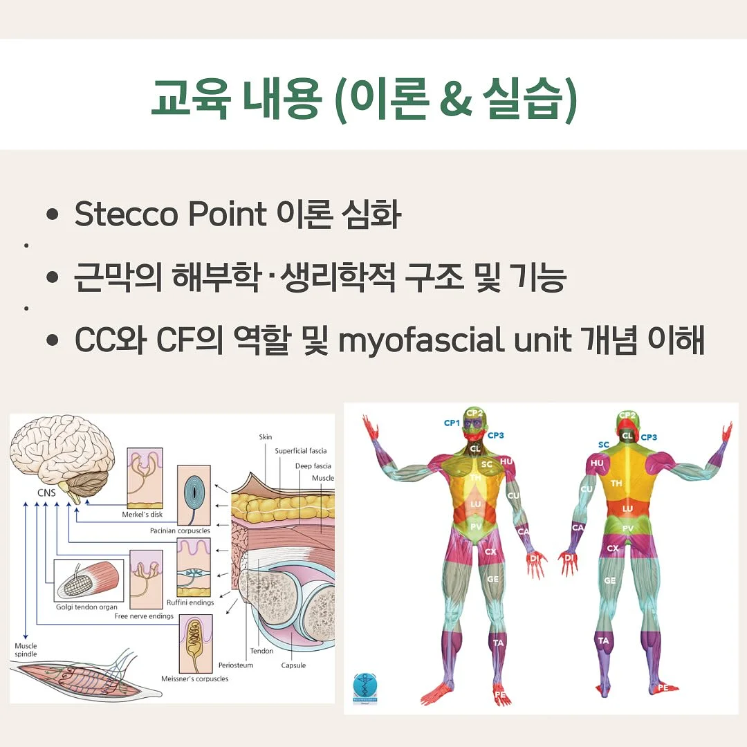 가을 옷 6