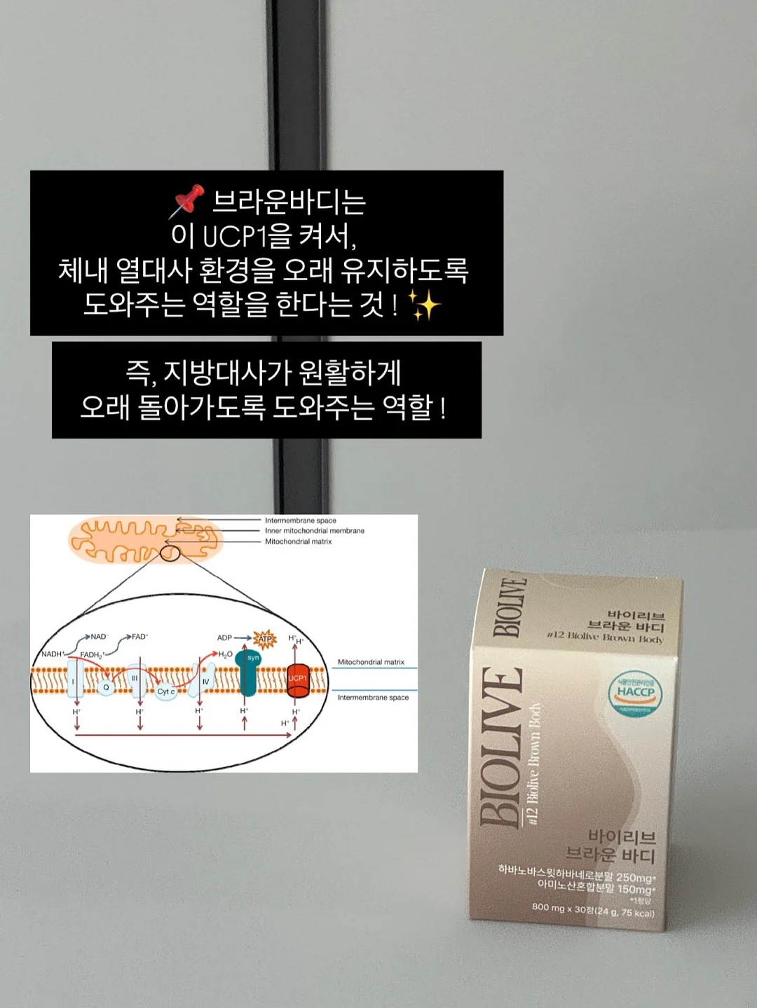 정수리 가발 13