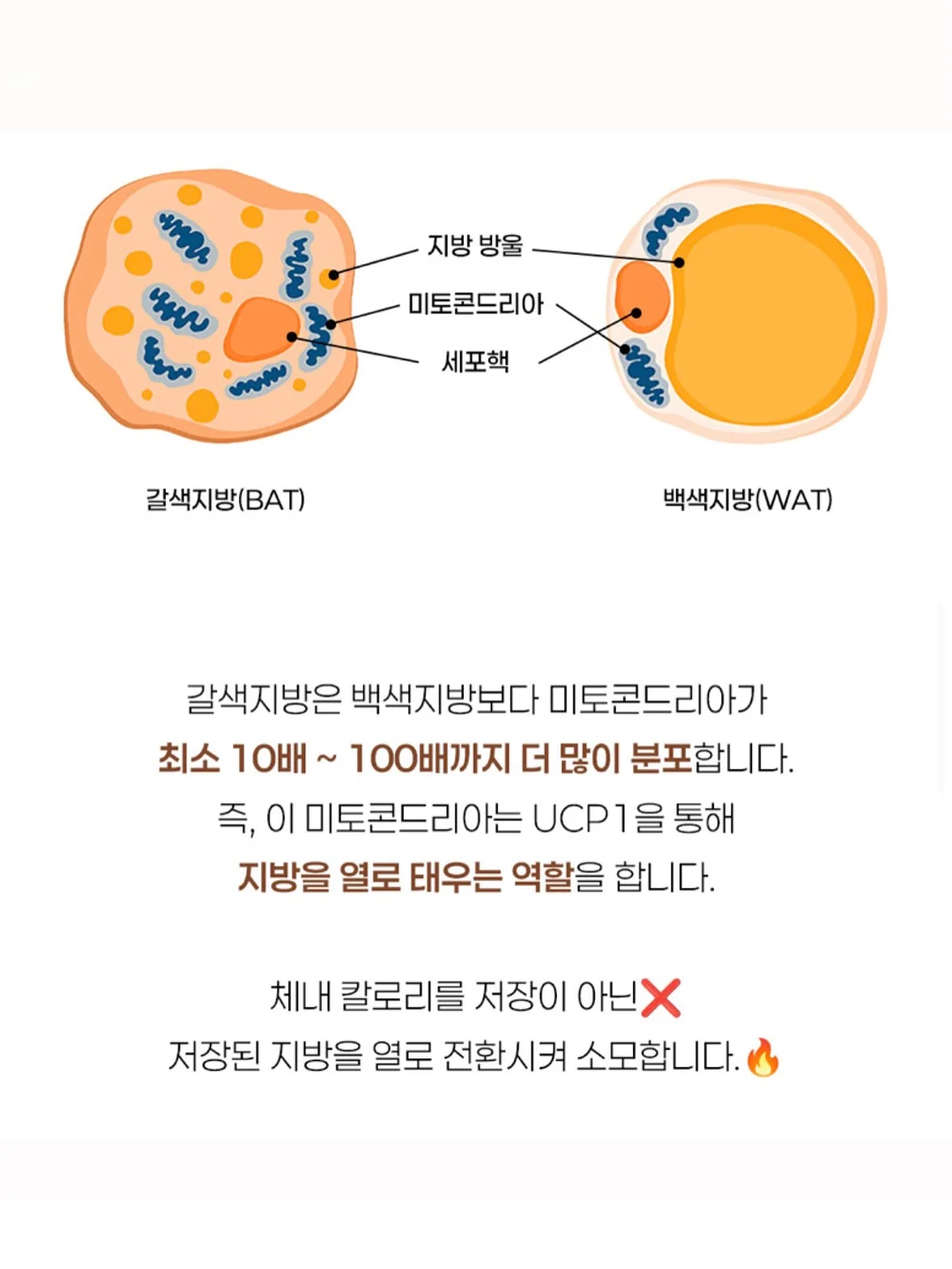 정수리 가발 15