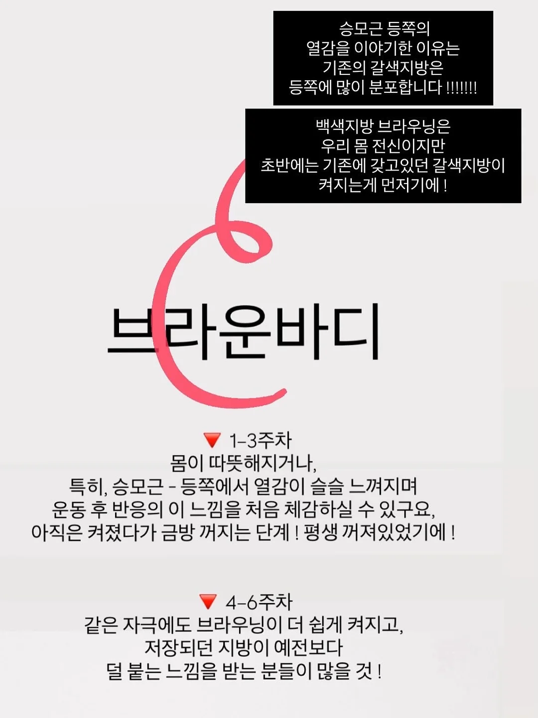 정수리 가발 17