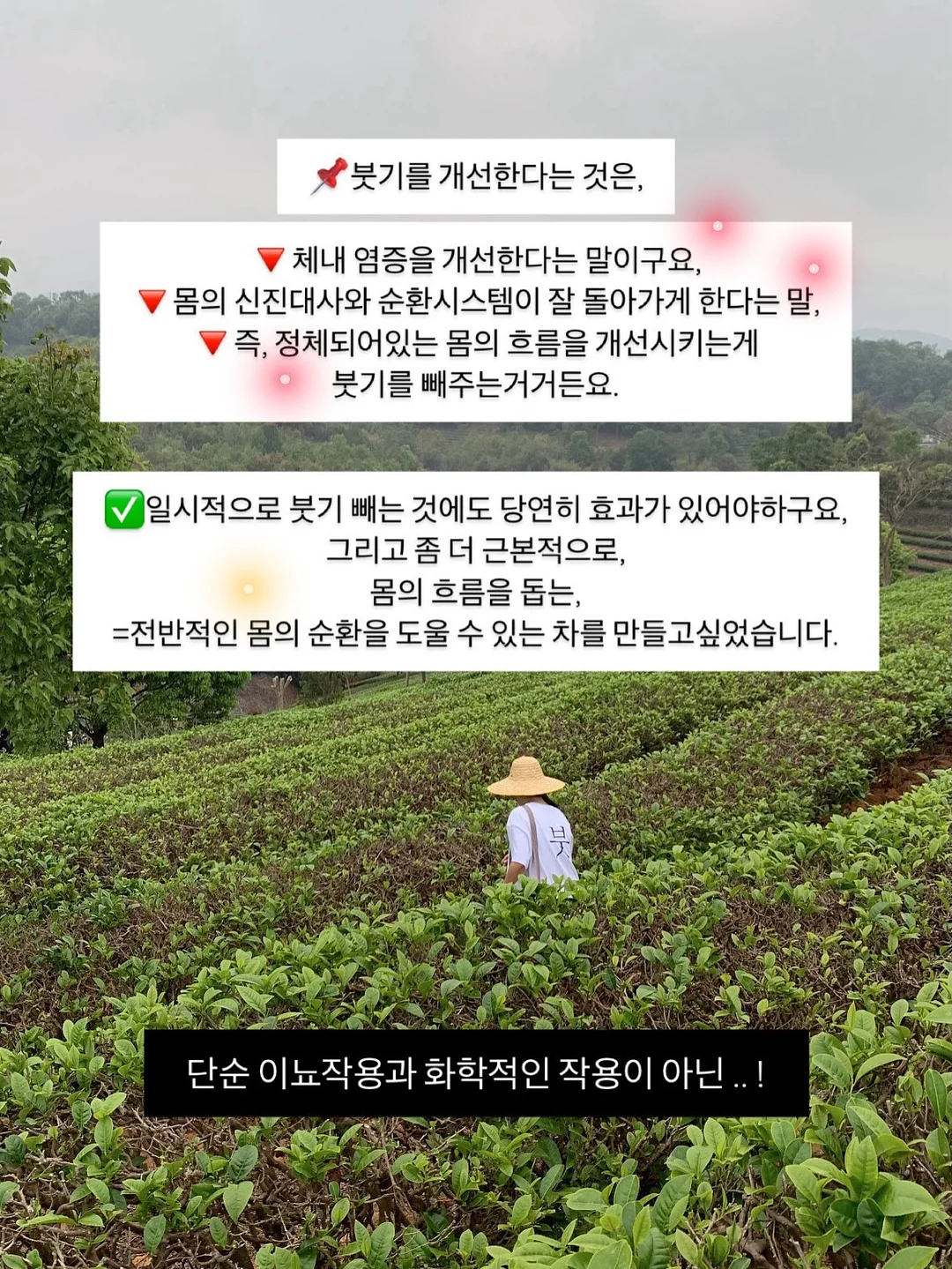 정수리 가발 10