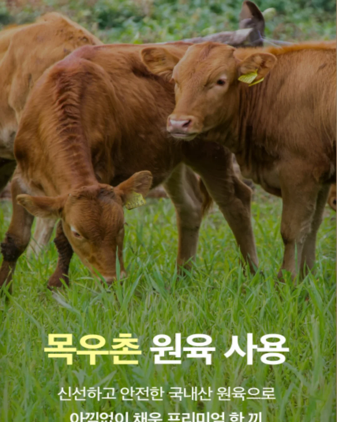 네임드시리즈 네스티 액상 12