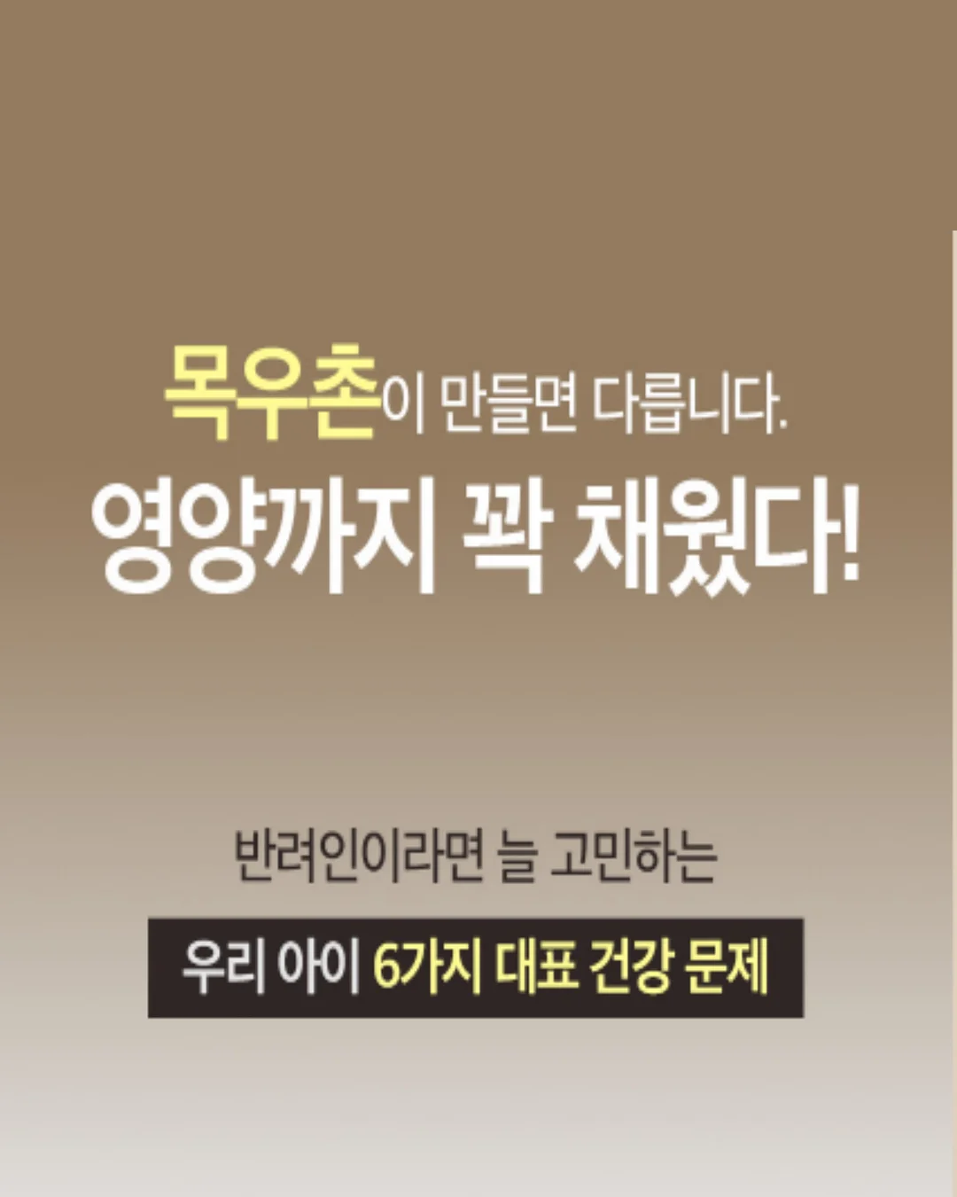네임드시리즈 네스티 액상 6
