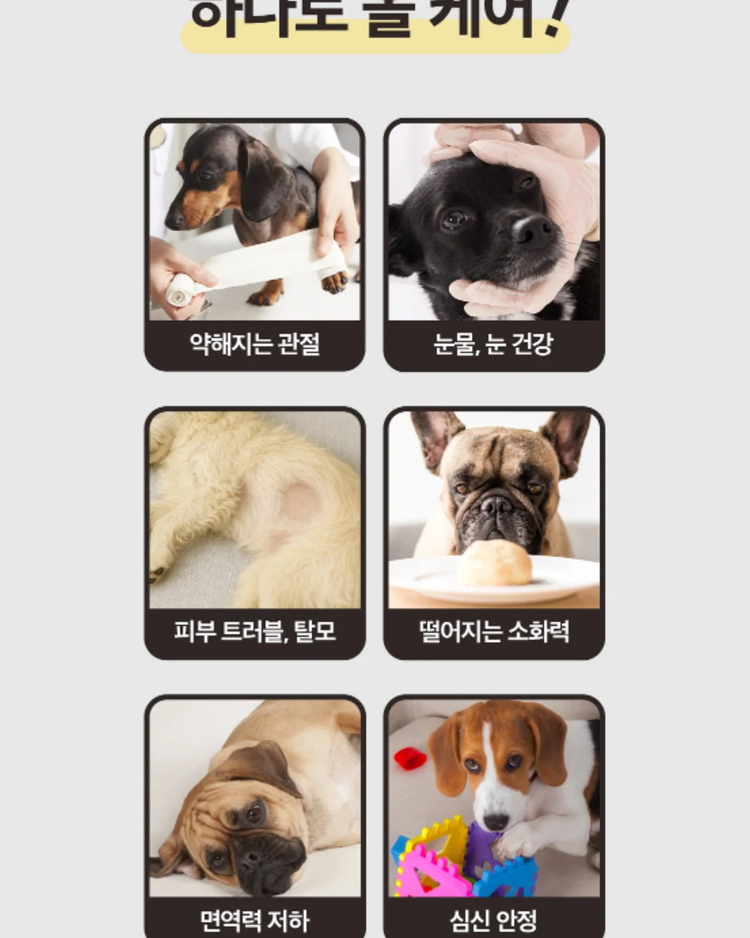 네임드시리즈 네스티 액상 7