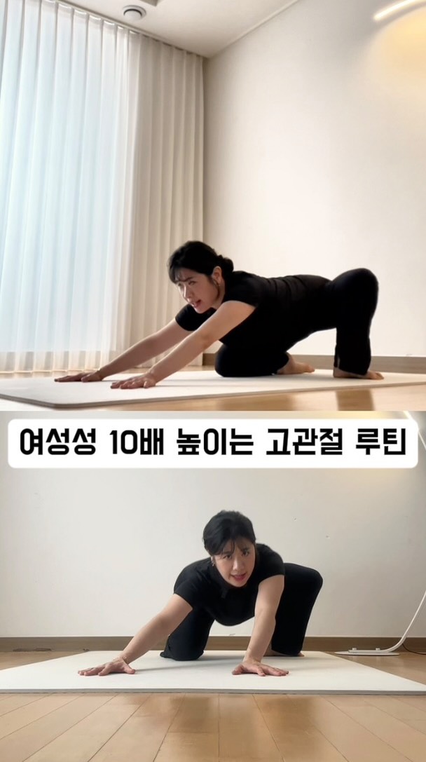 라즈베리 로즈 타르트
