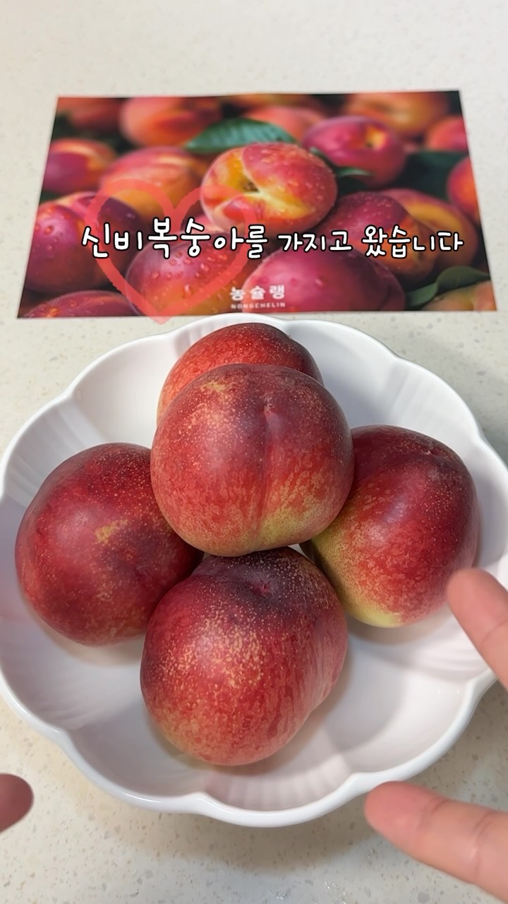 동국제약 마데카 쿨링패치 KBO 에디션