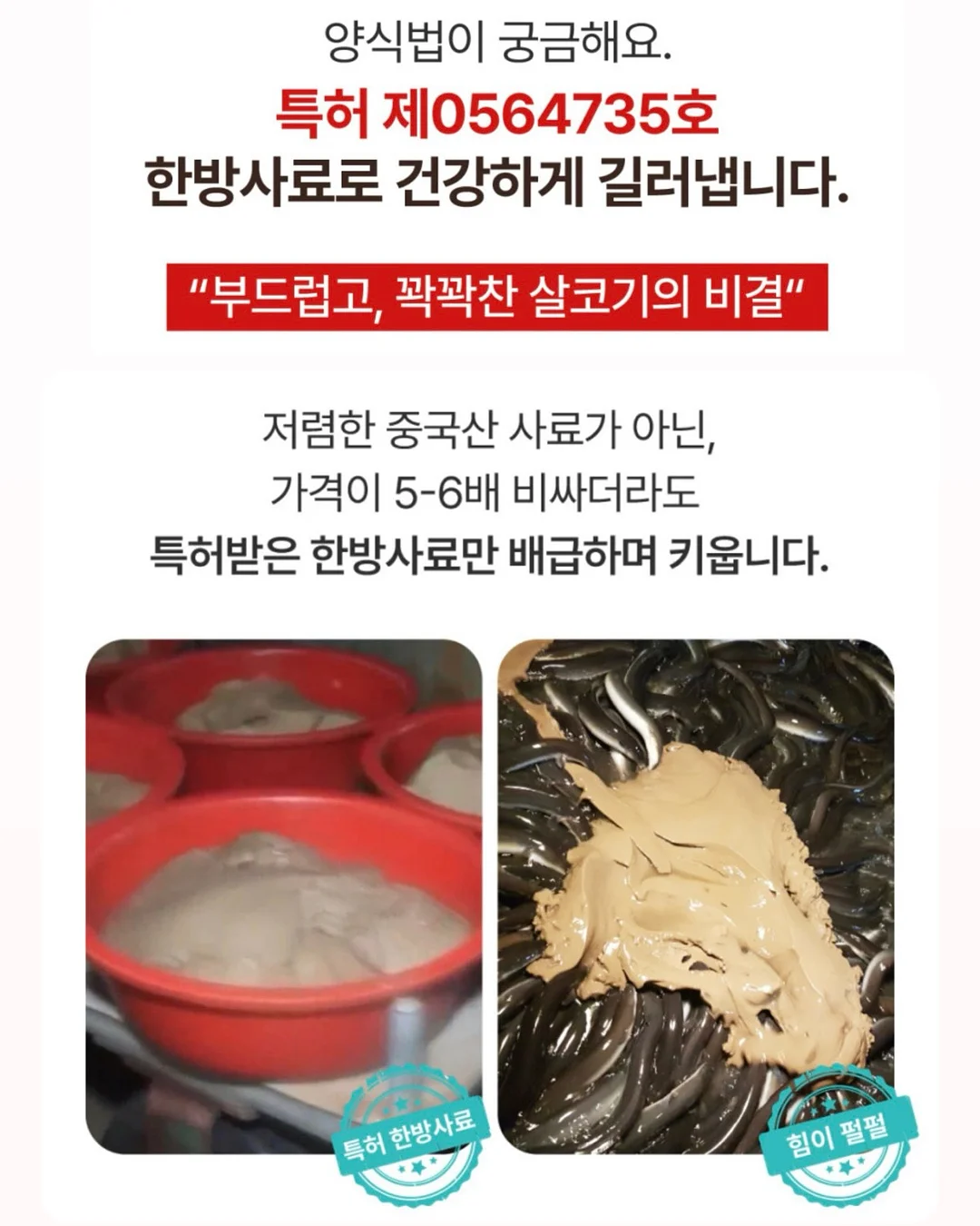종아리 스트레칭 도구 15