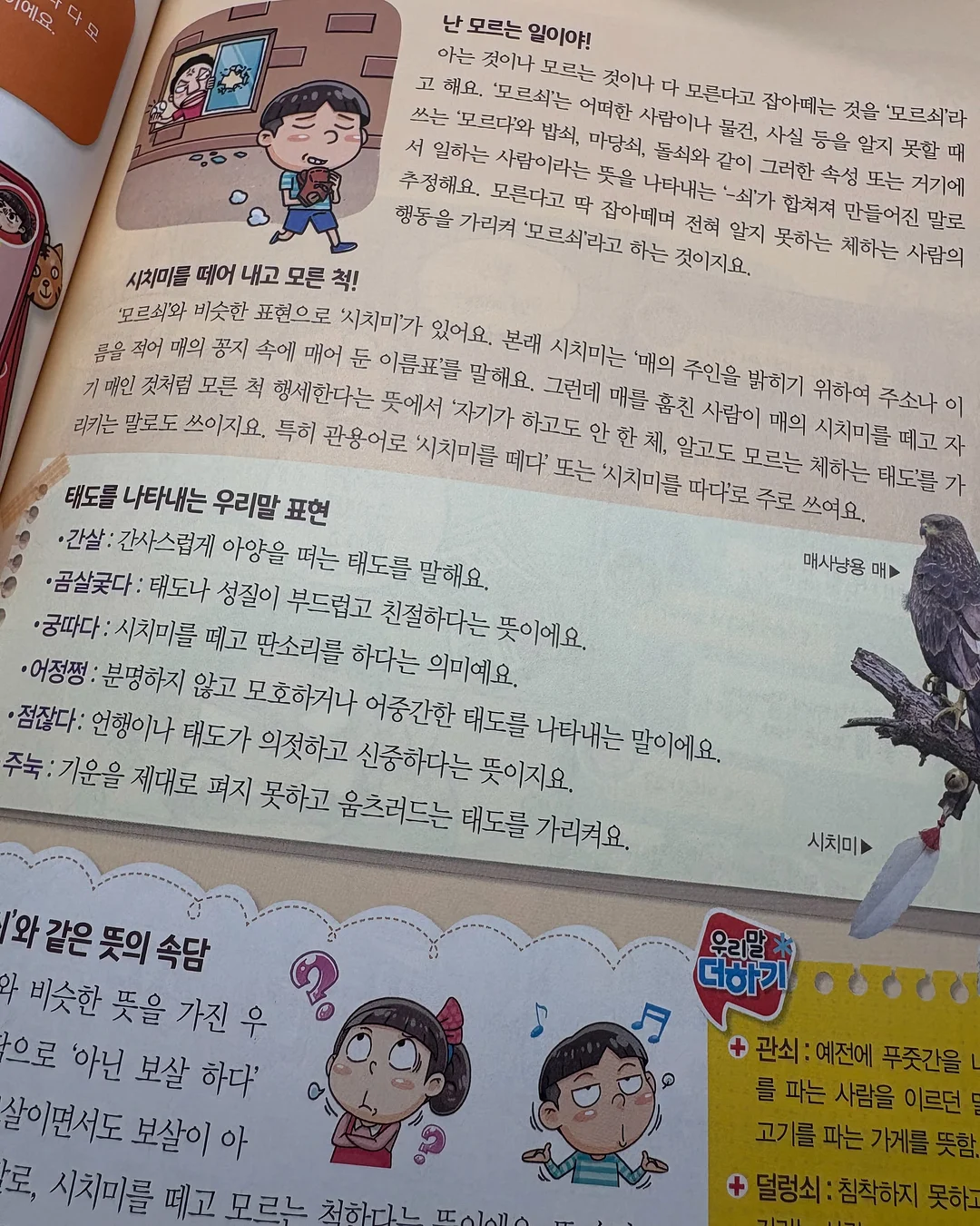 Crayon Tank 8