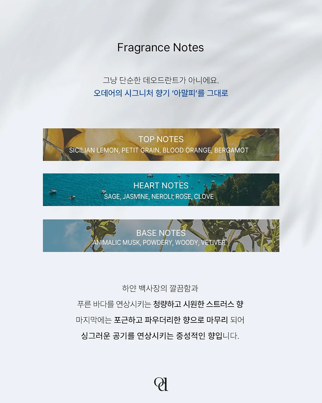 젤리백 5