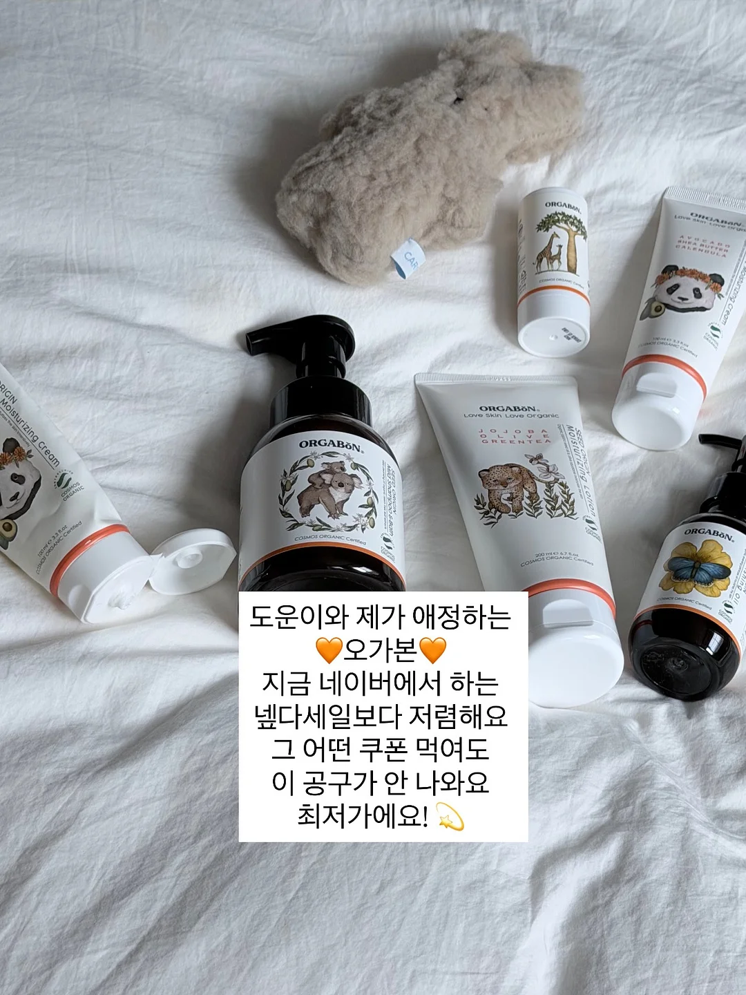 운동조절 바디빌딩 실기 세미나 3