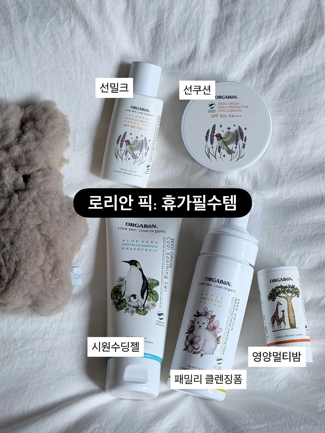 운동조절 바디빌딩 실기 세미나 4