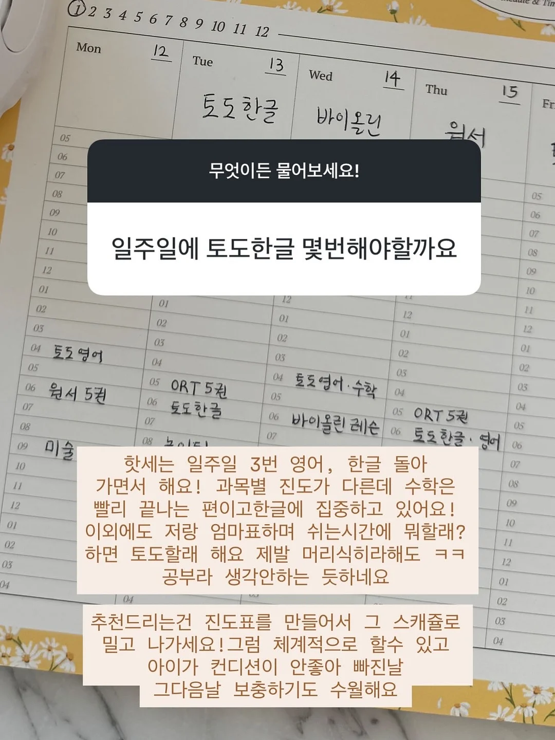 엘리몰리 여름신상 10