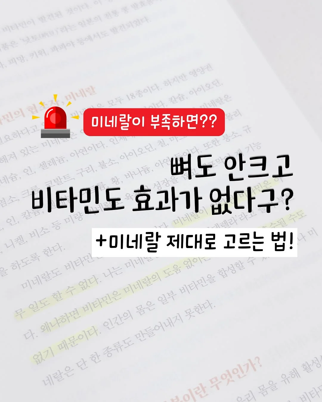메띠에 페이지 1