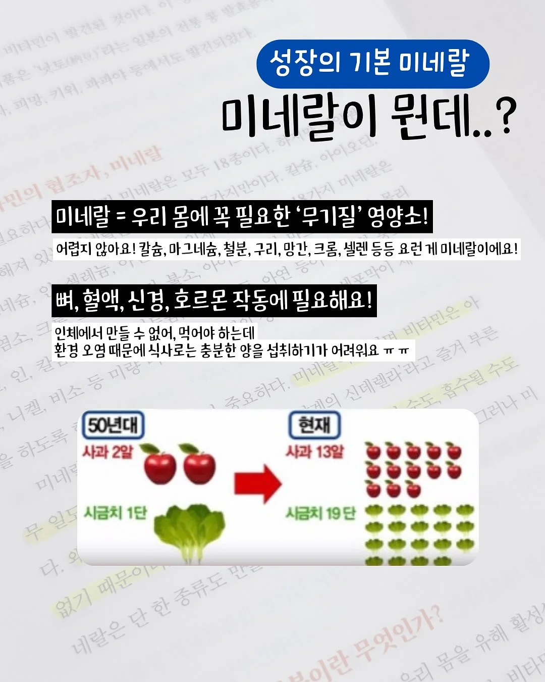 메띠에 페이지 2
