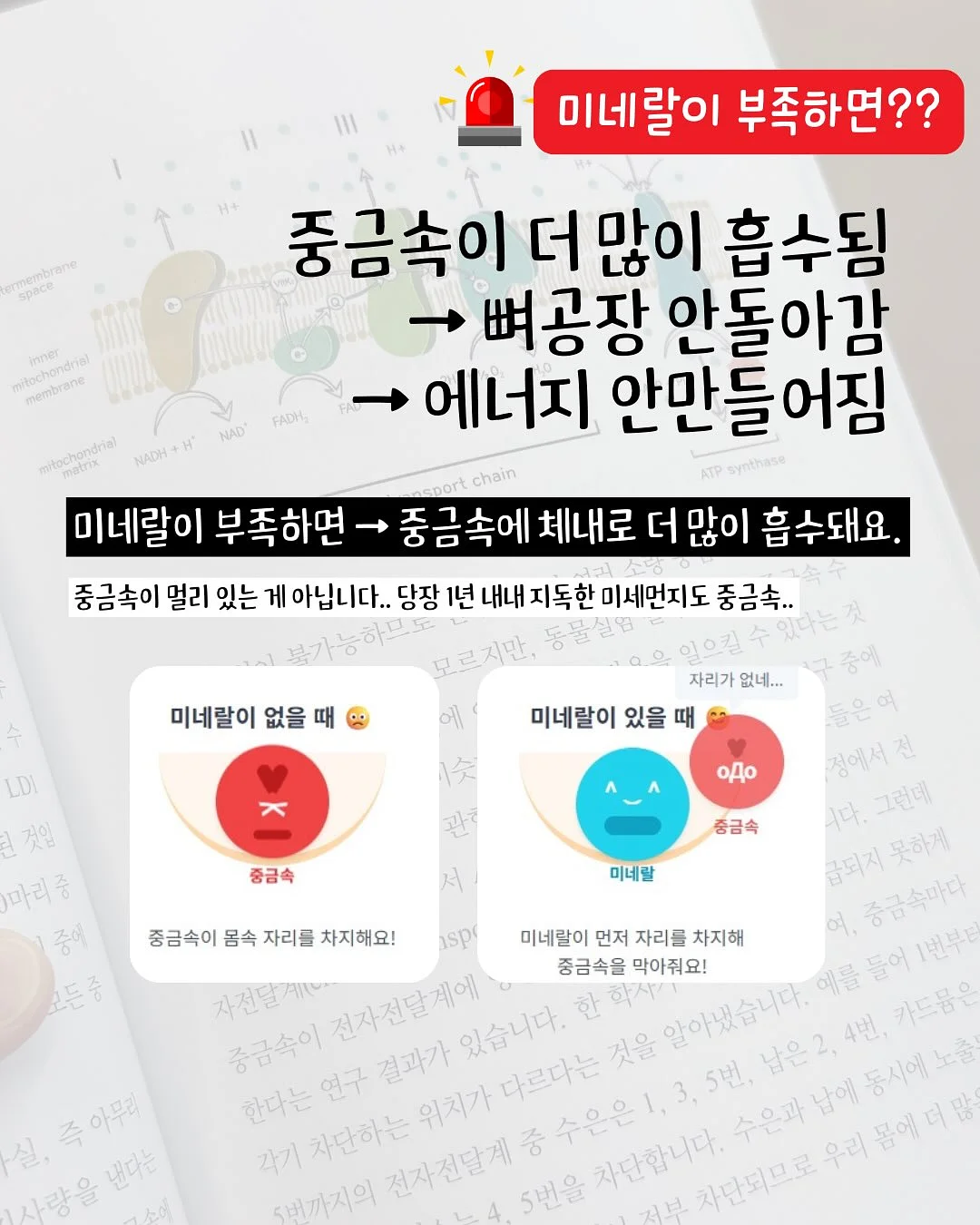 메띠에 페이지 3