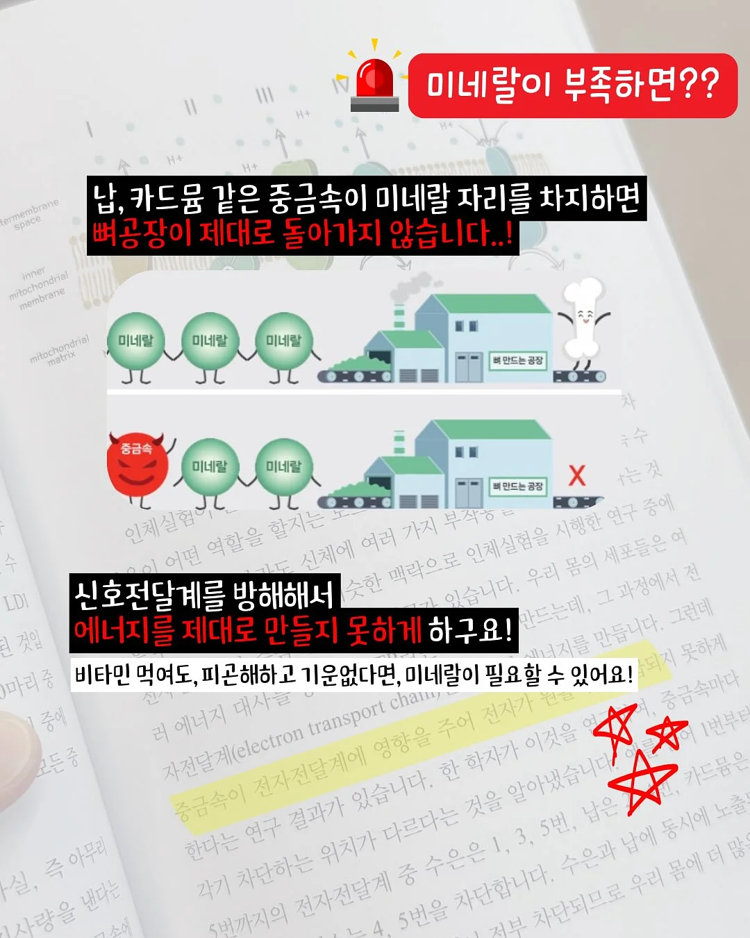 메띠에 페이지 4