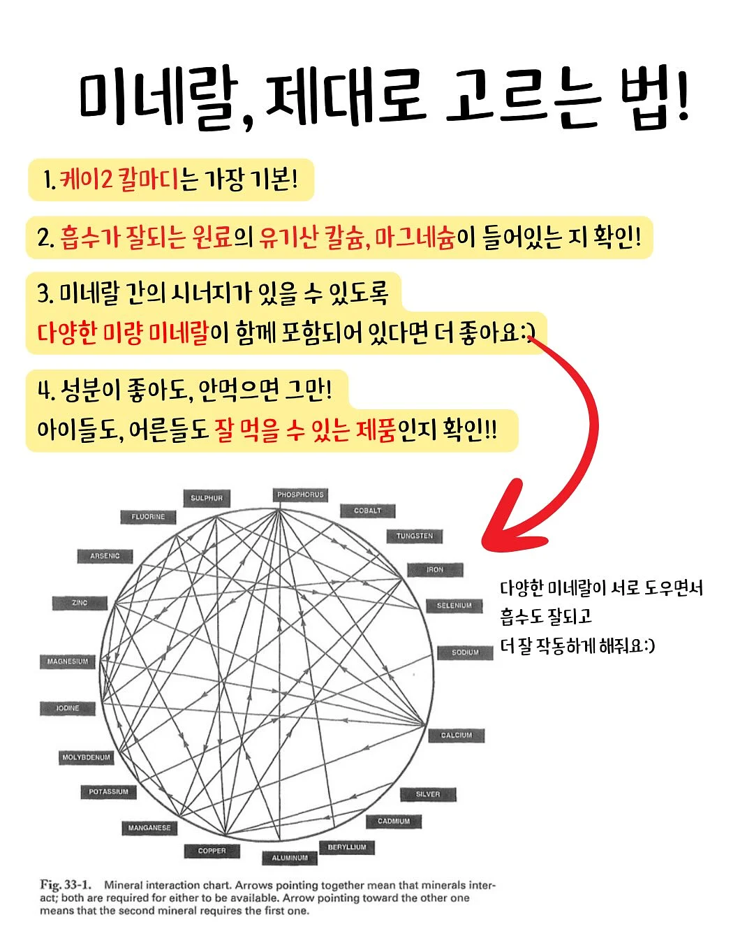 메띠에 페이지 6