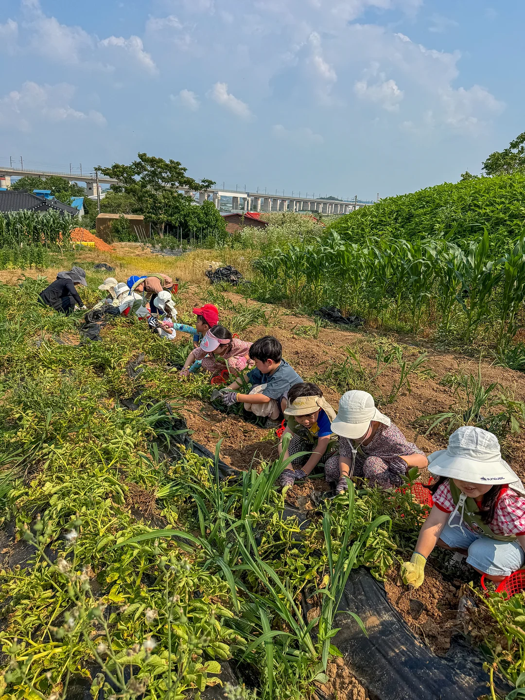 내리미 해열크림 1