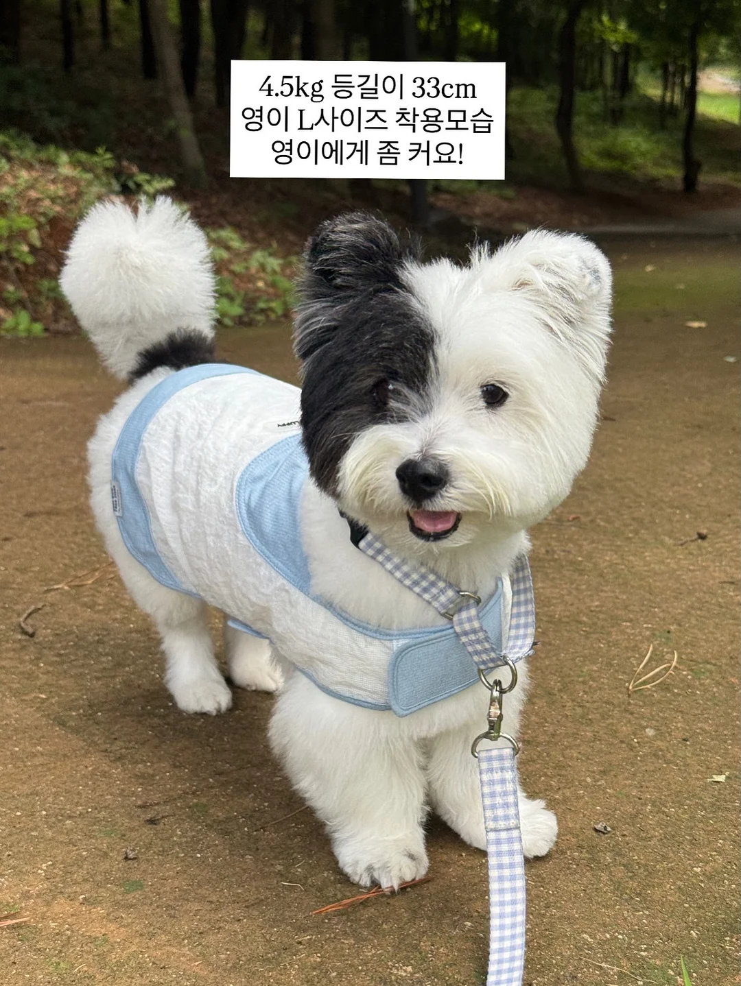 팬트리 수납장 7