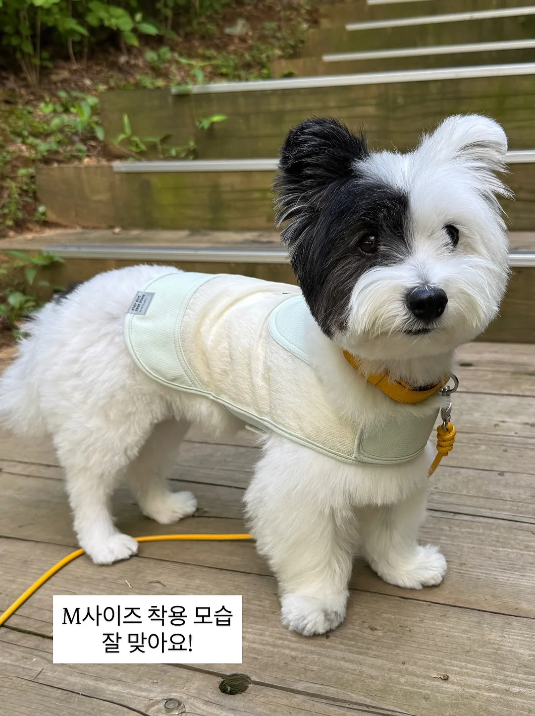 팬트리 수납장 8