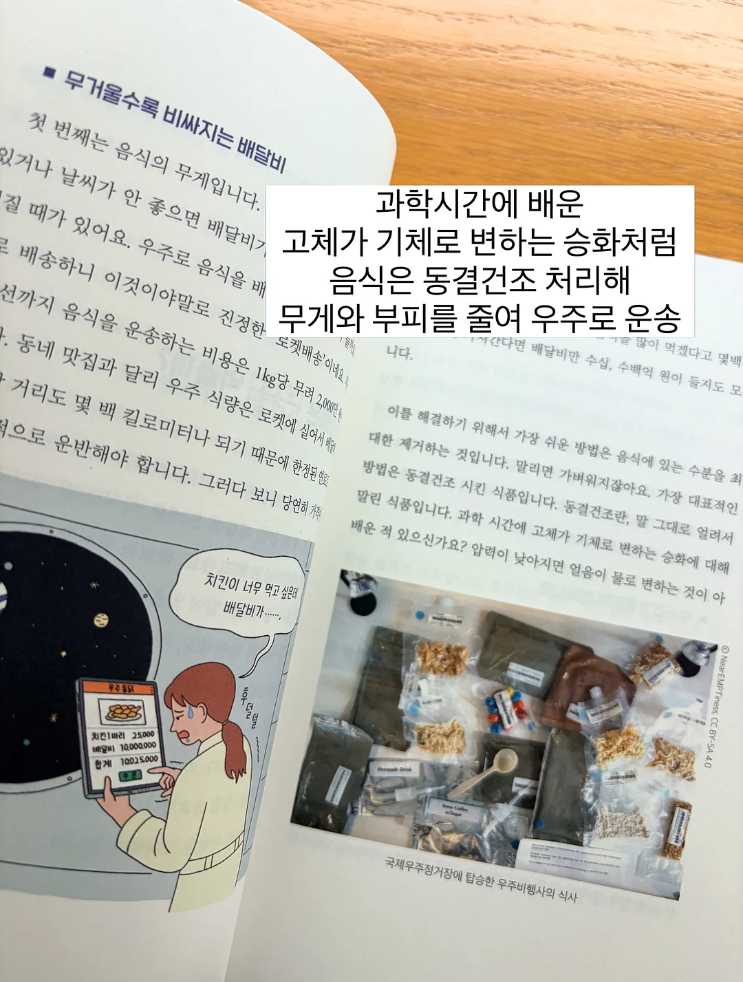 솔로파티 11