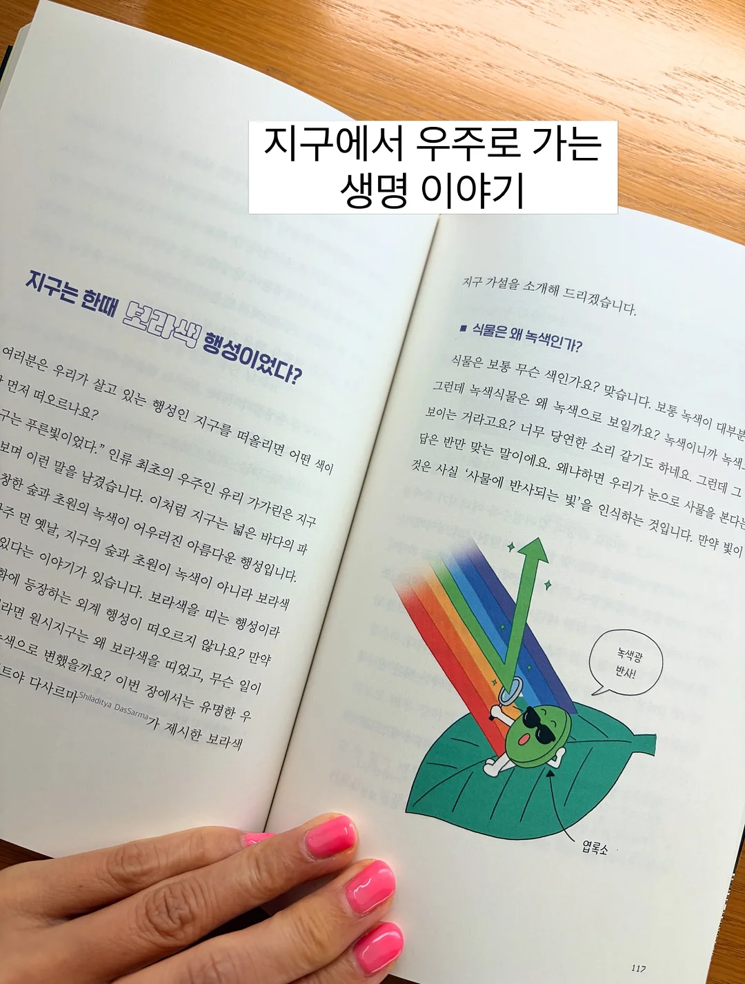 솔로파티 12