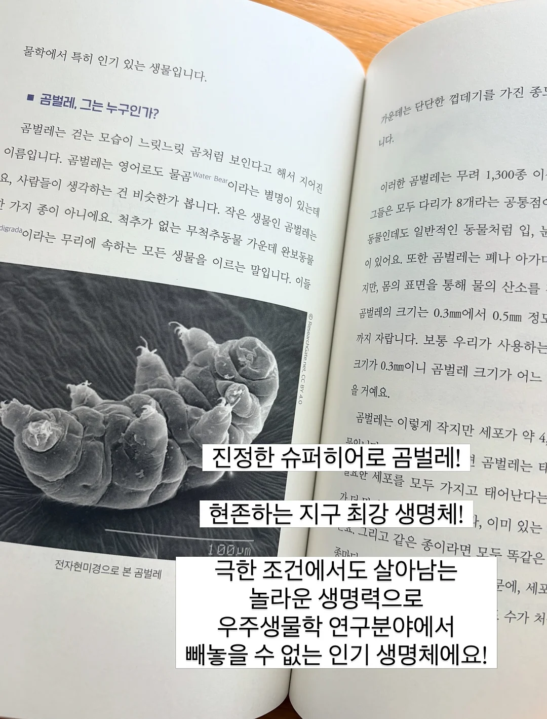 솔로파티 14