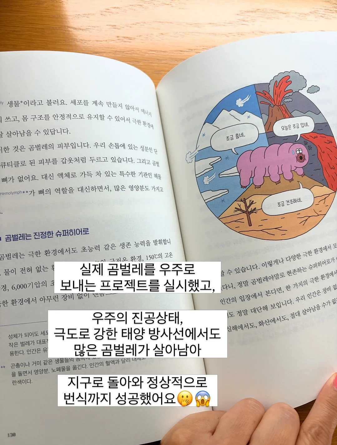 솔로파티 15