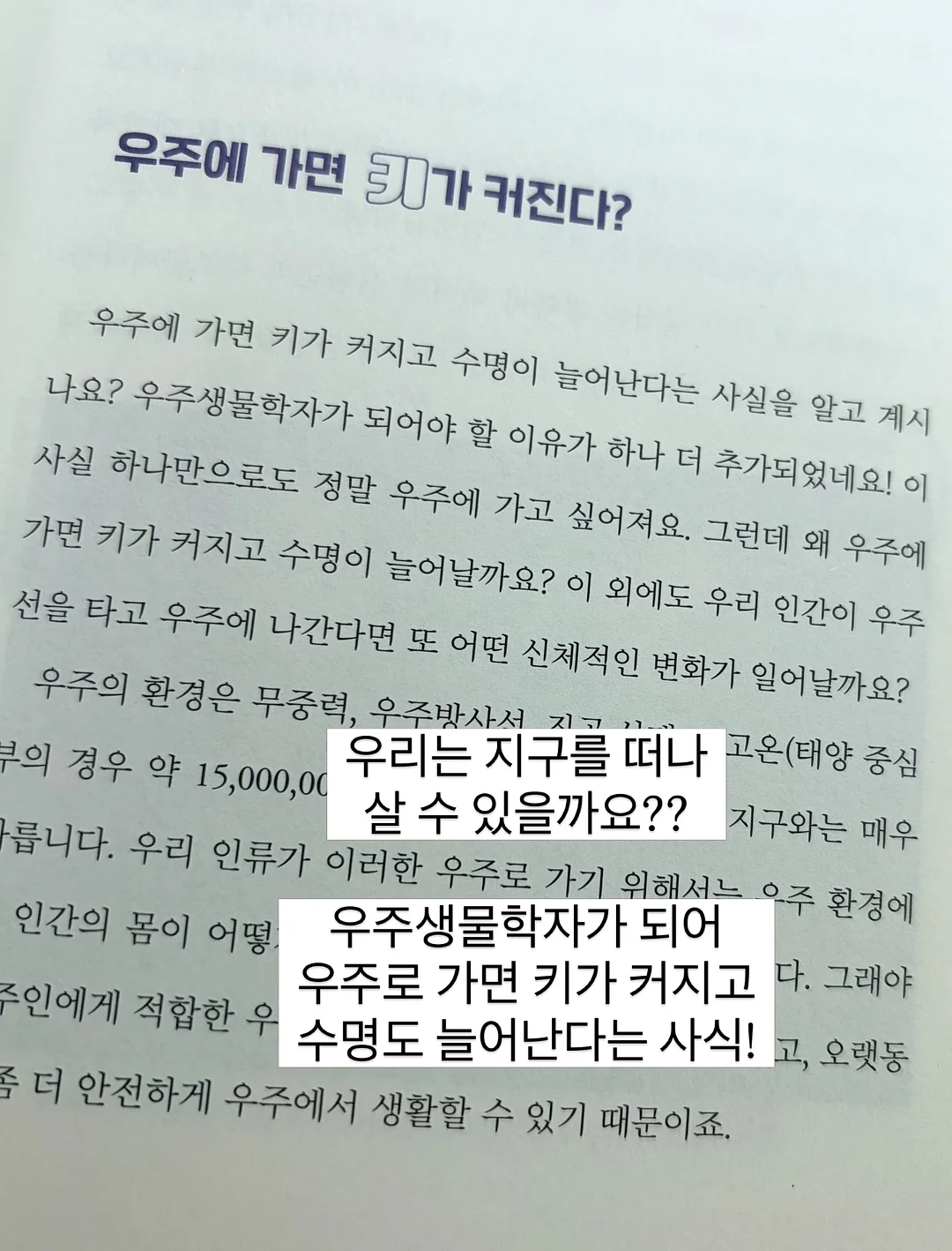 솔로파티 8