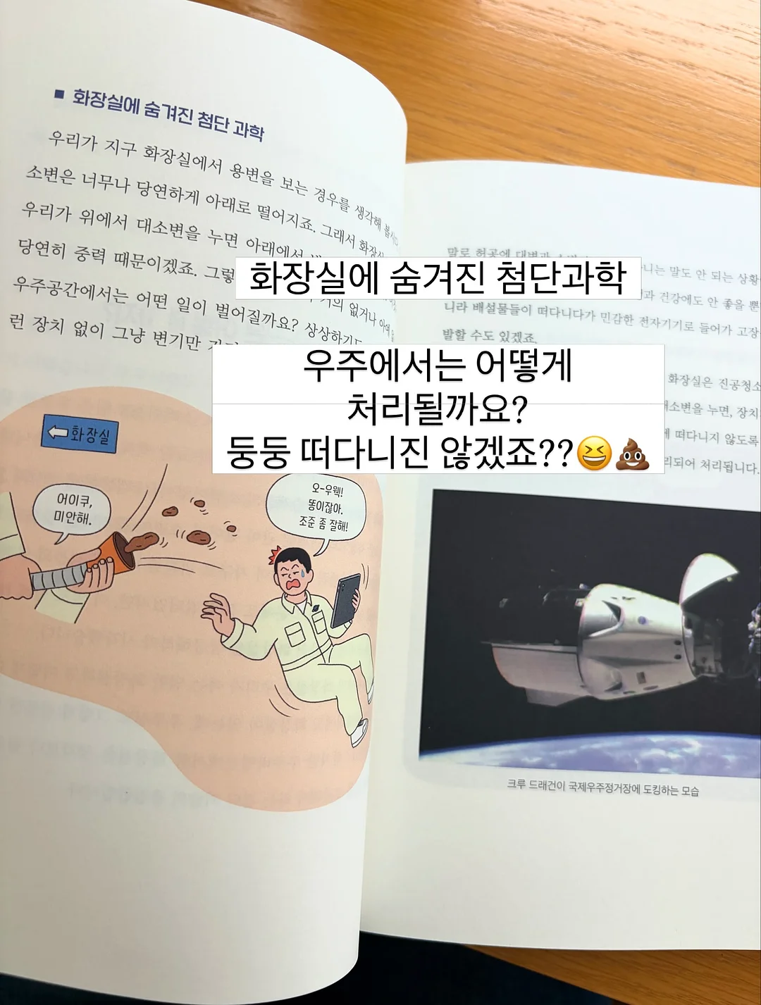 솔로파티 10