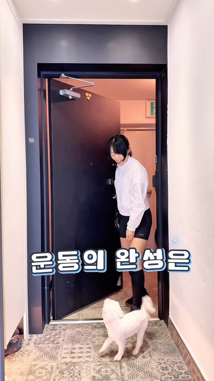 스테이크핑거푸드 도시락