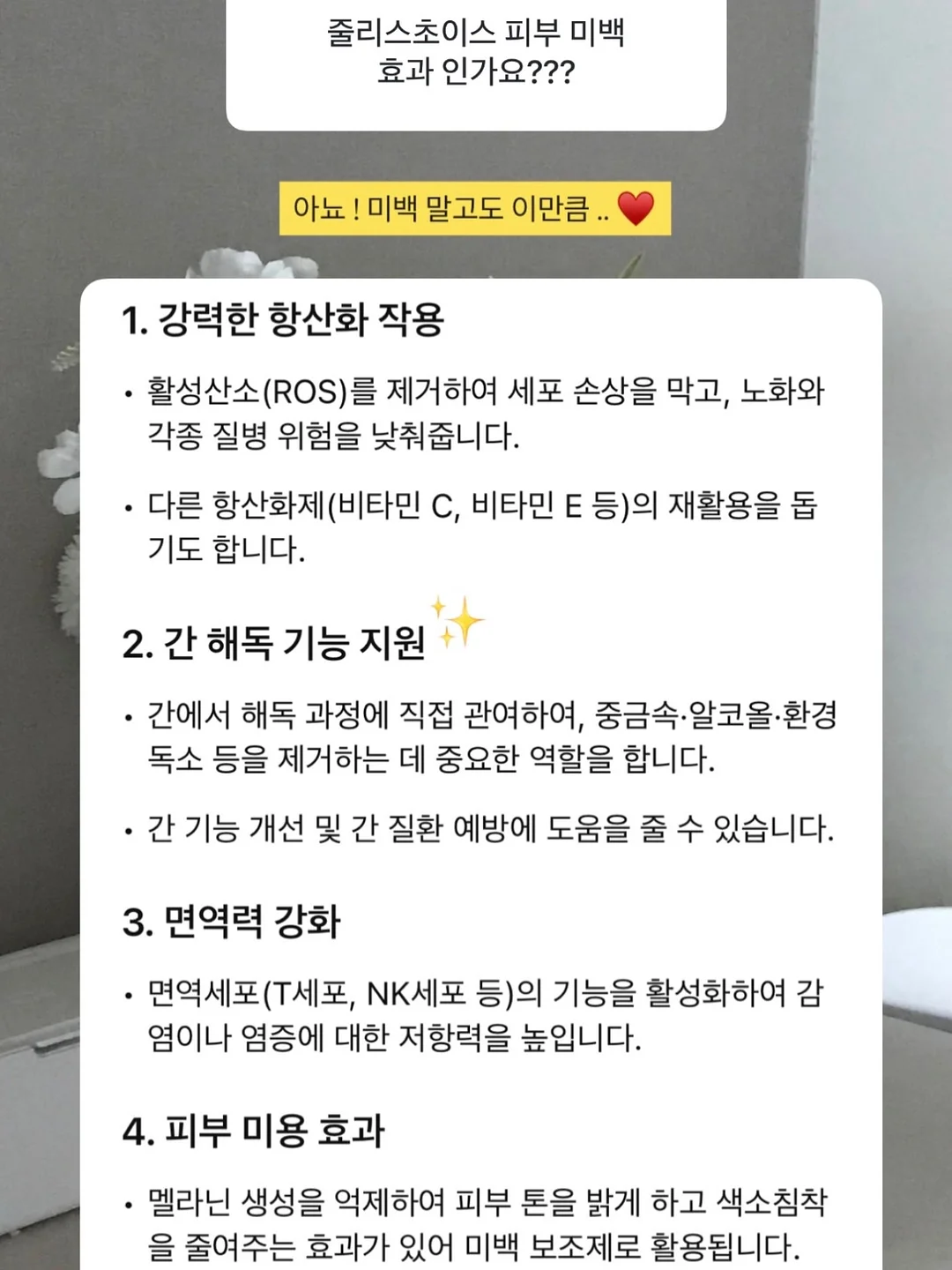 기린 드로잉 테이블 15