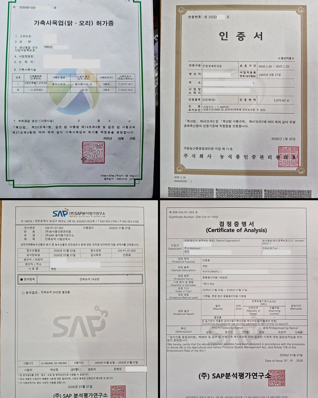 고춧가루 보관 비법 14