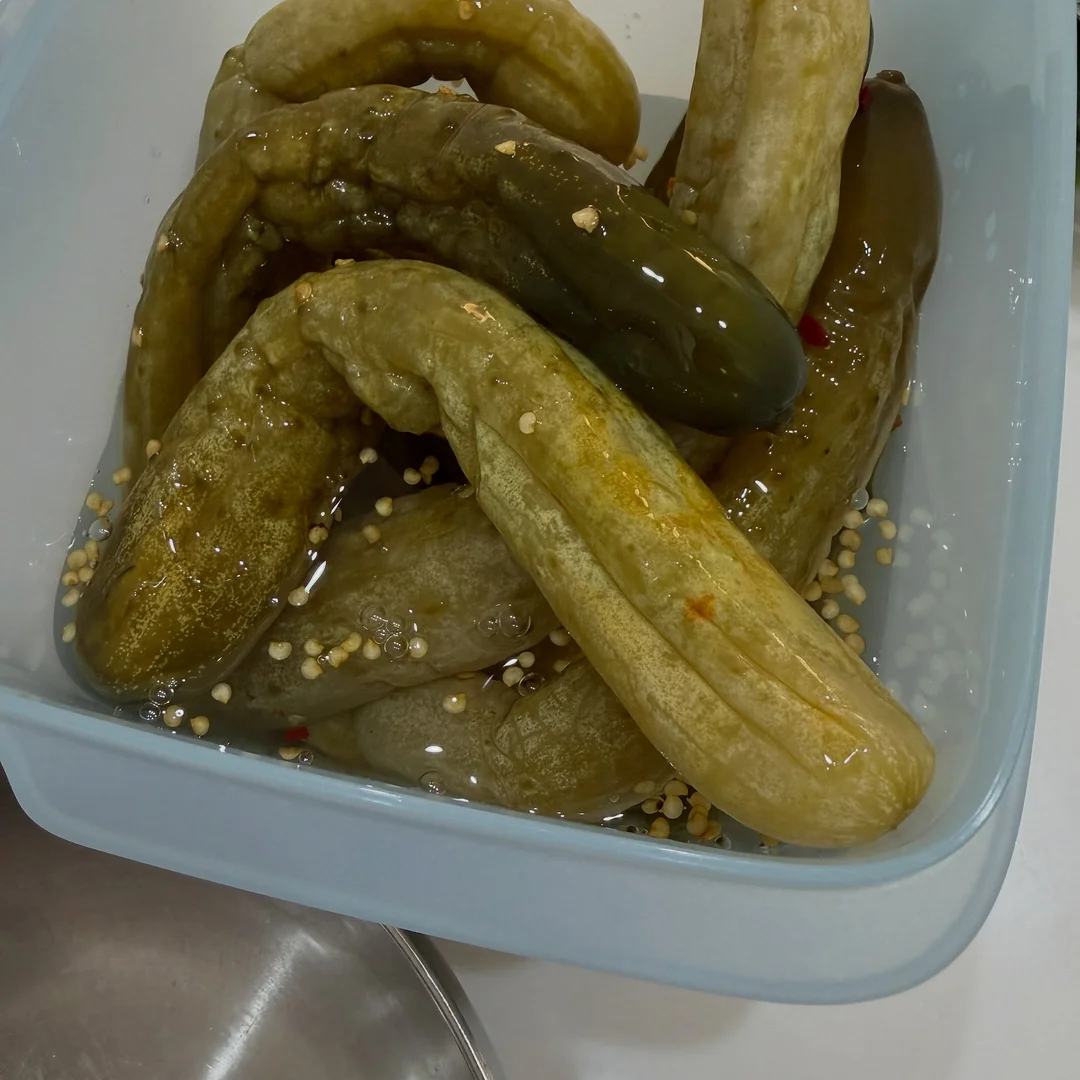 테오 13