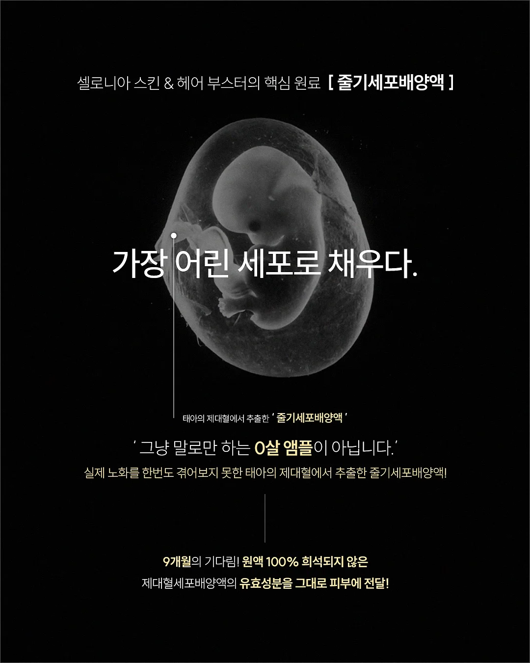실크블렌드하프슬리브니트점퍼; 라운드넥언밸런스 헴티셔츠; 실크블렌드니트퀼로트팬츠 12