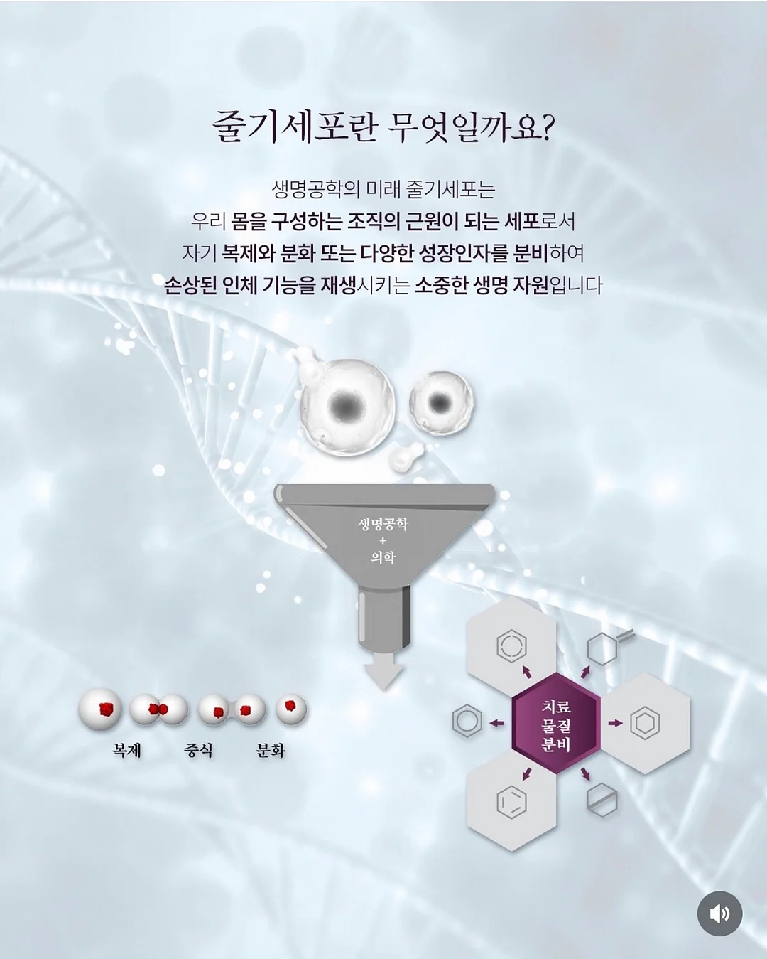 실크블렌드하프슬리브니트점퍼; 라운드넥언밸런스 헴티셔츠; 실크블렌드니트퀼로트팬츠 13