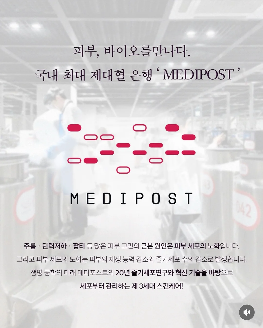 실크블렌드하프슬리브니트점퍼; 라운드넥언밸런스 헴티셔츠; 실크블렌드니트퀼로트팬츠 14